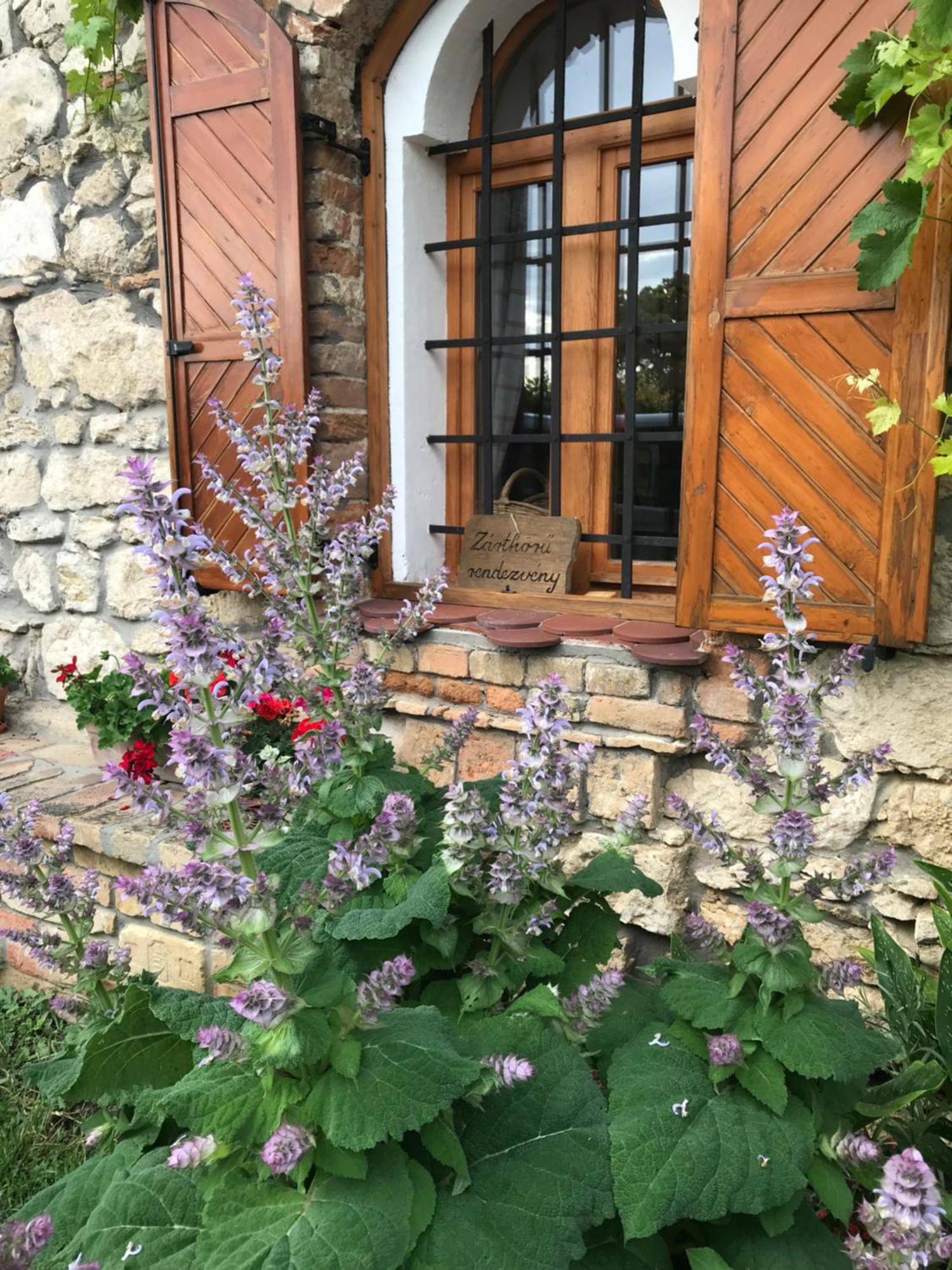 Cifrapince Es Vendeghaz Villa Tordas Exteriör bild